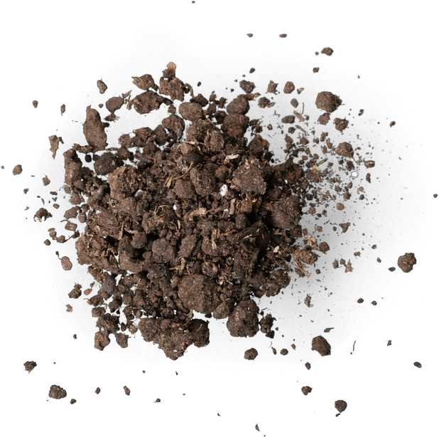 Pinch of Soil 